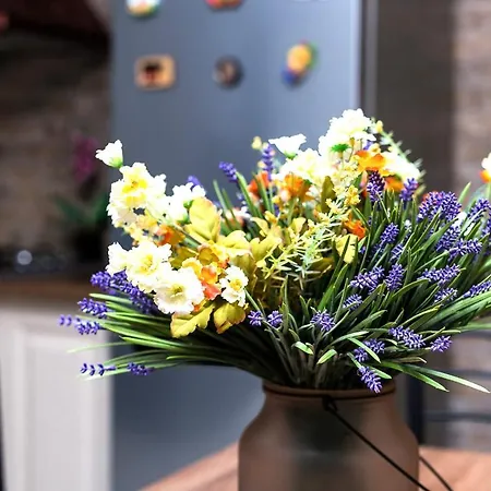 Apartment центр однокомнатная просторная улица екатериниская Odesa