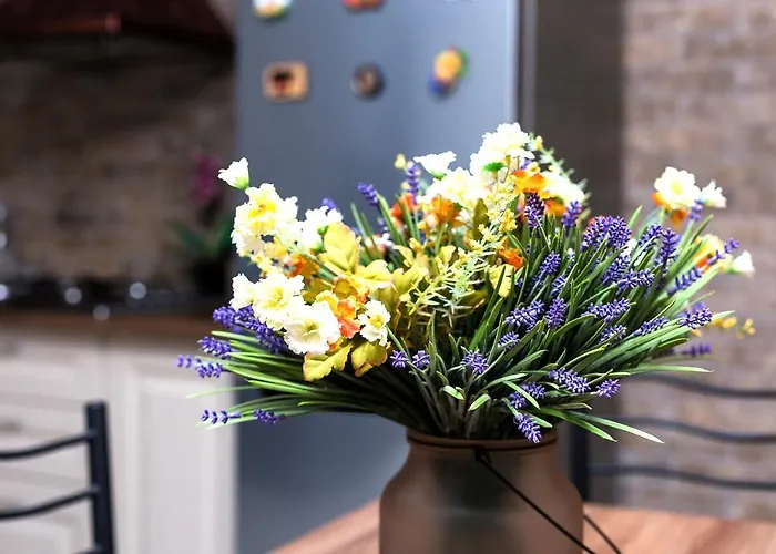 Apartment центр однокомнатная просторная улица екатериниская Odesa